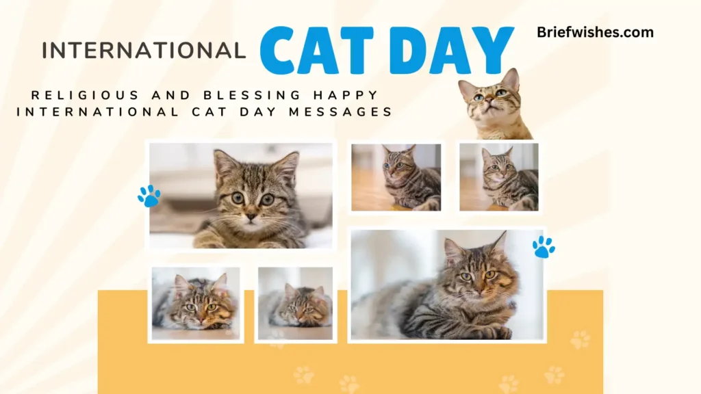 Religious and Blessing Happy International Cat Day Messages