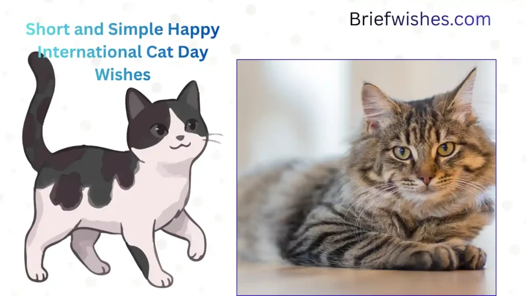 Short and Simple Happy International Cat Day Wishes