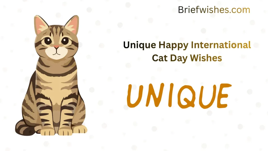 Unique Happy International Cat Day Wishes